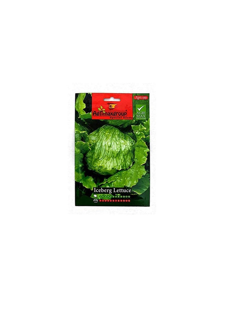 Agrimax Agrimax Iceberg Lettuce Seeds  - Image 2