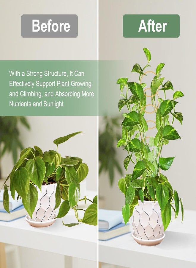 OYOEETD Indoor Plant Trellis for Climbing Plants,Small Garden Trellis for Potted Plants,with Moisture-Proof Layer Plant Stakes for Indoor Plants Accessories Hoya,Flower (Golden-Metal) - Image 3