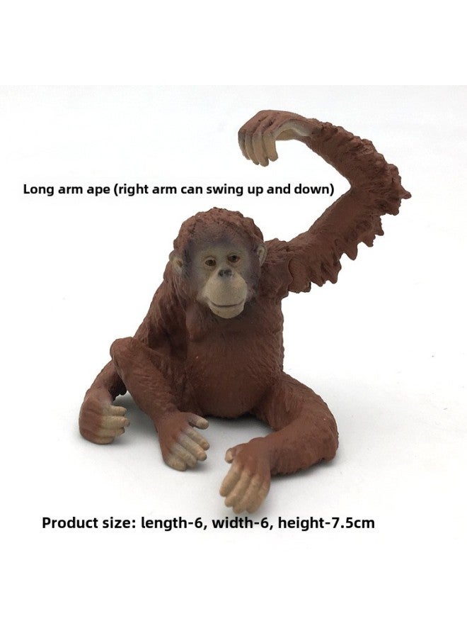 Animal Model Special For Teaching And Education Animal Model Kangaroo Elephant Lion Tiger Deer Ostrich Wolf-Color:4071 Orangutan (47g)  - Image 1