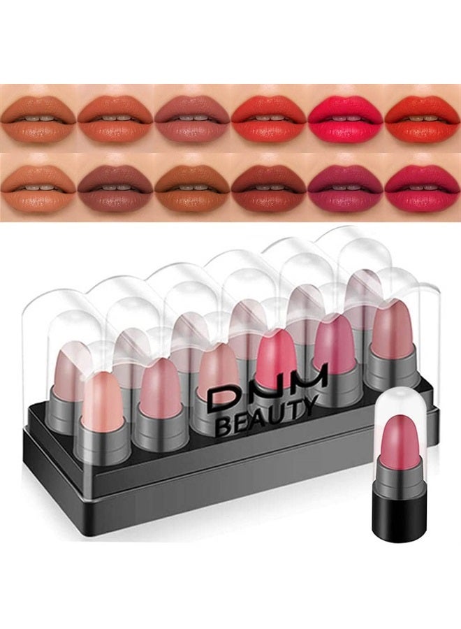 BINGBRUSH 12Pcs Mini Capsule Makeup Lipstick Pills Set, Lápiz Labial Rojo Matte Lipstick Lip Stain Set Women Nude Brown Dark Red Matte Matt Lipsticks Cute Lip Stick Purse Set Labiales Matte Larga Duracion 24 - Image 1