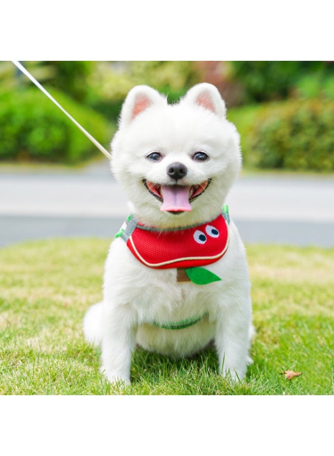 Fruit-Style Pet Harness with Leash, Green & Red, for Cats & Medium Dogs, Size M - Image 2