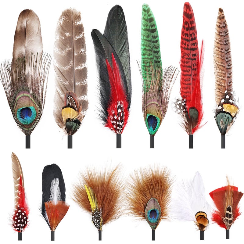 iHUFeather 12Pcs Hat Feathers, Assorted Natural Feathers for Hats Colorful Real Feathers Pin for DIY Craft, Men Women Cowboy Hats, Fedora, Party Hats,Oktoberfest (12 Style) - Image 1