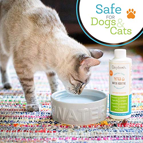 Oxyfresh Premium Pet Dental Care Solution Pet Water Additive: Best Way to Eliminate Bad Dog Breath and Cat Bad Breath - Fights Tartar & Plaque - So Easy, Just Add to Water! Vet Recommended 2 Pack - Image 4