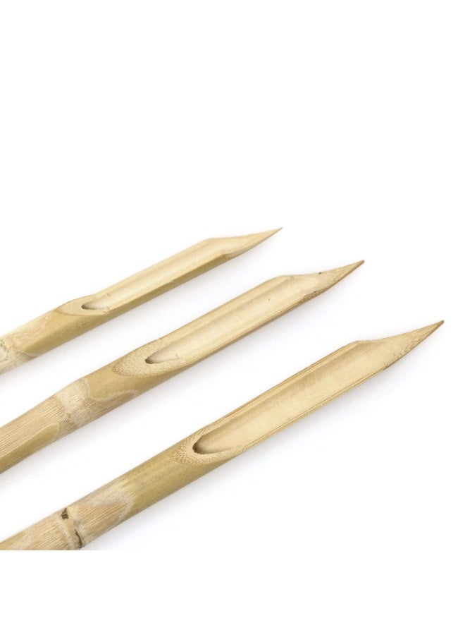 Terabyte 3pcs Bamboo Pen Polymer Ceramic Shaping Tools DIY Pottery Ceramics Clay Sculpture Carving Tool - Image 2