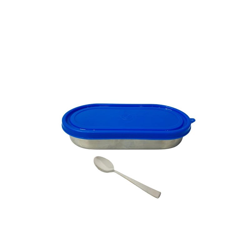 Kitchen Bloom Lunch Box Set 2 Steel Round Containers with Spoon Rectangular Container Classic Bag Office Carry Bag 5 Pieces - Image 4