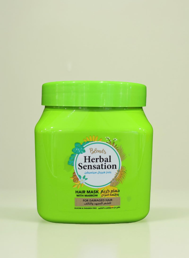 Blends Hair Mask With Marrow 600 ml