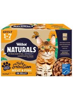 Webbox Tasty Selection Meat & Fish In Jelly Wet Cat Food 100G X 12  - Image 1