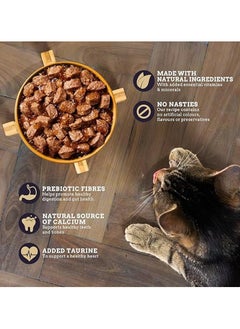 Webbox Tasty Selection Meat & Fish In Jelly Wet Cat Food 100G X 12  - Image 4