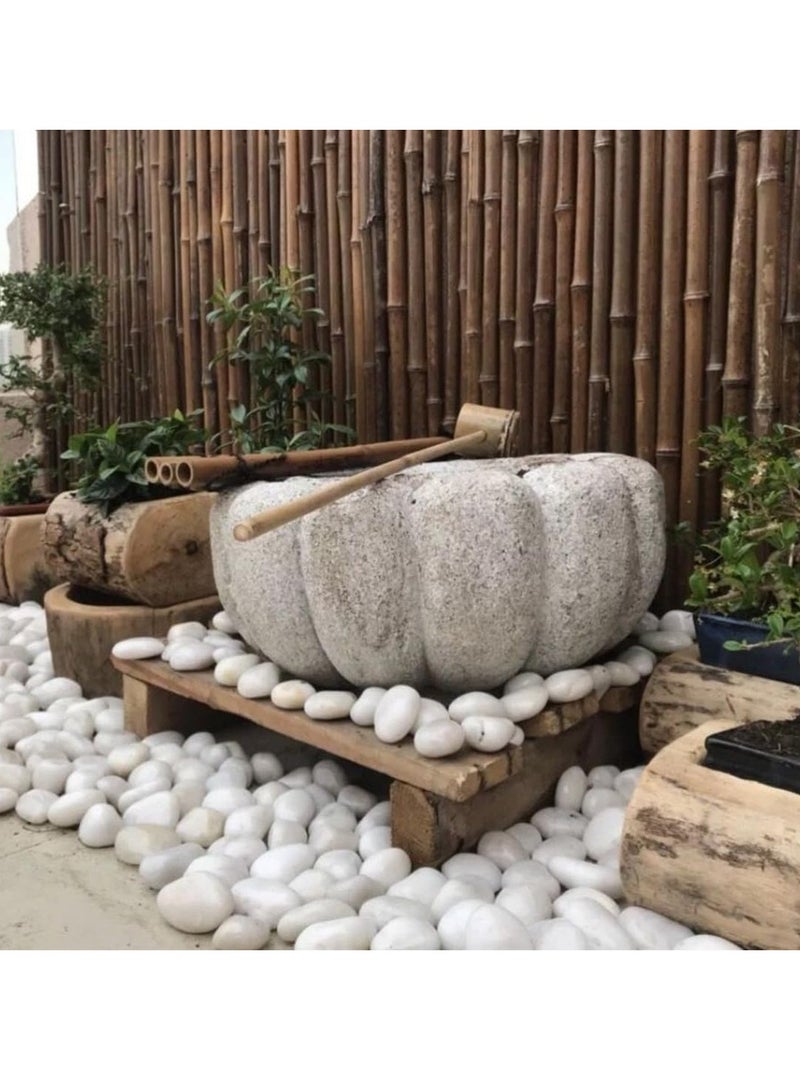 ڤسيل24 حصى نهرية بيضاء كبيرة جدًا (5–8 سم) – أحجار طبيعية مصقولة للمنزل، الحديقة والمزهريات - Image 5