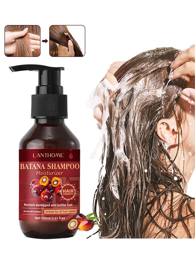 Lanthome Batana Shampoo - Batana Oil for Shampoo,Organic Batana Oil，Shampoo with 100% Pure Raw Batana Oil,Promotes Hair Wellness for Men & Women Enhances Hair & Skin Radiance,Leaves your Hair Smoother Oil（100ml） - Image 1