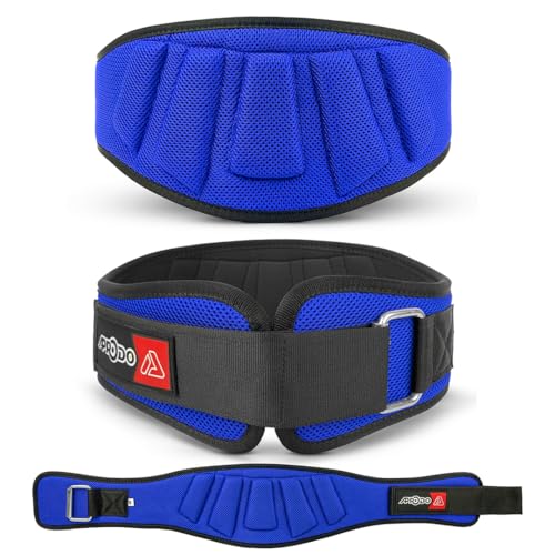 APRODO Power Guidance Nylon Weightlifting Belt Lumbar Waist Support Trainer Protector Belts for Weight Lifting Fitness Sport Gym (Blue, Small) - Image 1