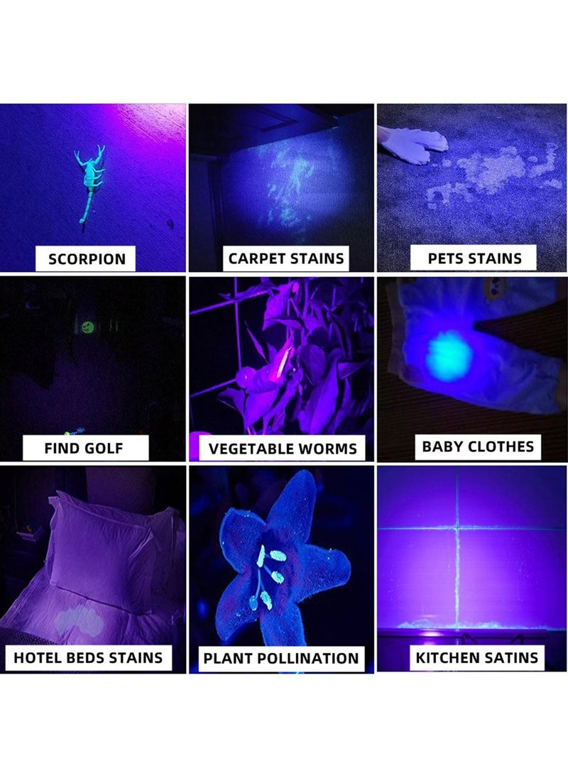 60W High Power UV Flashlight Blacklight Cat Dog Urine Stain Tinea Ore Money Scorpion Marker Rechargeable Ultraviolet torch lamp - pzsku/Z737D7A36A1953097C474Z/45/_/1715151643/09b4a011-b2cf-4ac4-bda3-a125dbed3f47