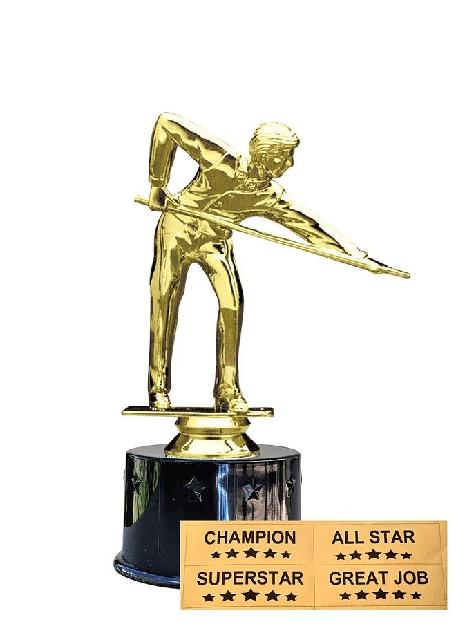 Express Medals Male Billiards Pool 8 9 Ball Award Trophy Party Favor Gift Prize Including 4 Gold Color Decals to Custom Personalize The Black Round Base - Image 2
