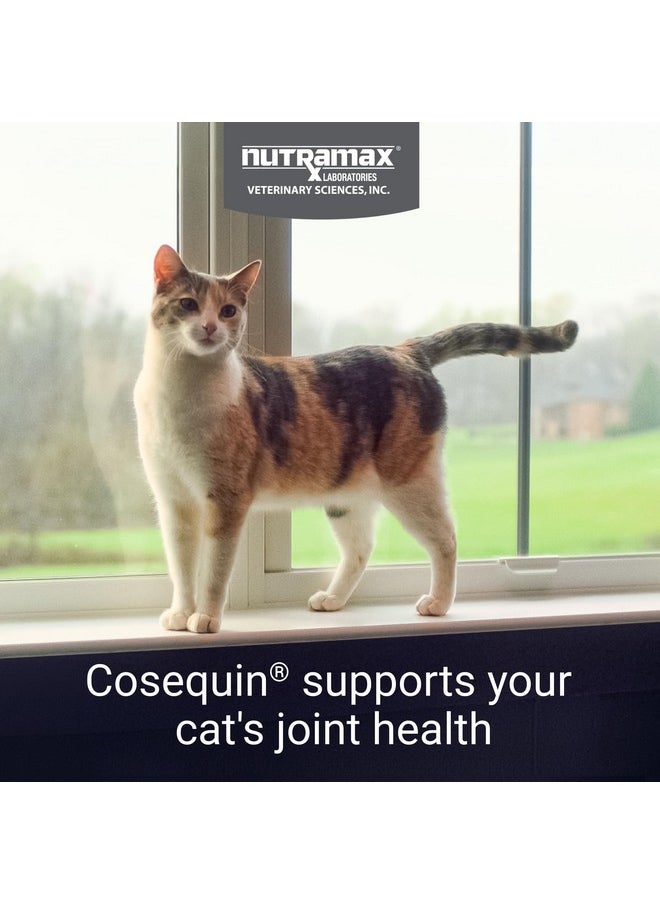 Nutramax Laboratories Nutramax Cosequin Joint Health Supplement for Cats - With Glucosamine and Chondroitin, 30 Capsules  - Image 2
