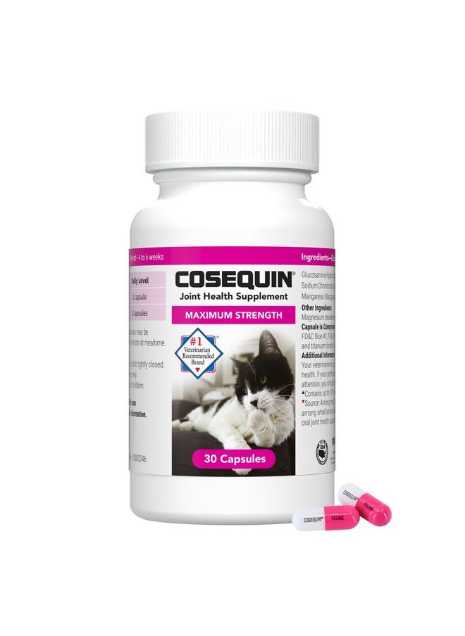 Nutramax Laboratories Nutramax Cosequin Joint Health Supplement for Cats - With Glucosamine and Chondroitin, 30 Capsules  - Image 1