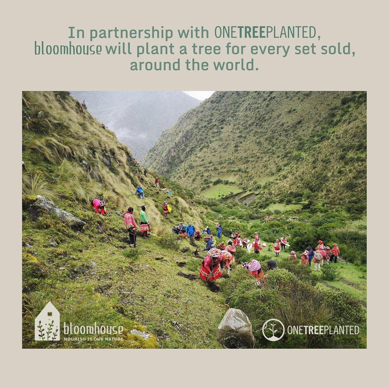 Bloomhouse Oprahs Favorite Things  Santorini Mist Double Bowl Terracotta Reactive Glaze Plates and Bowls Dinnerware Set  Jade Blue Green Service for Four 16pcs - Image 3