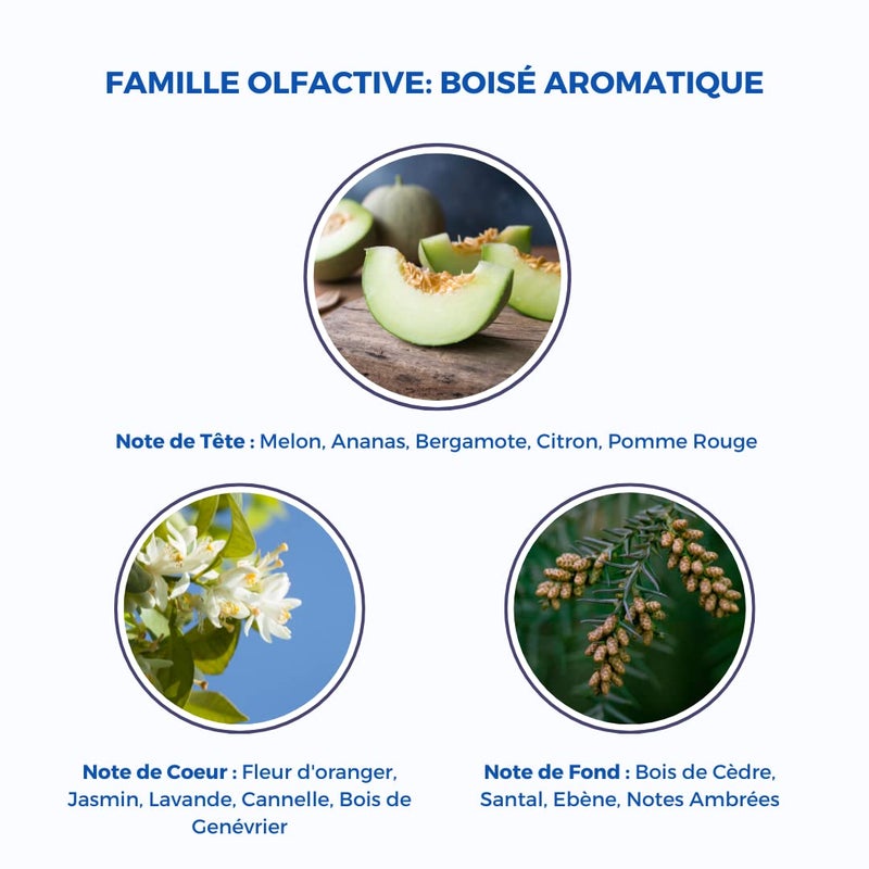 Corine de Farme Pierre Cardin Eau de Toilette pour Homme - Image 5