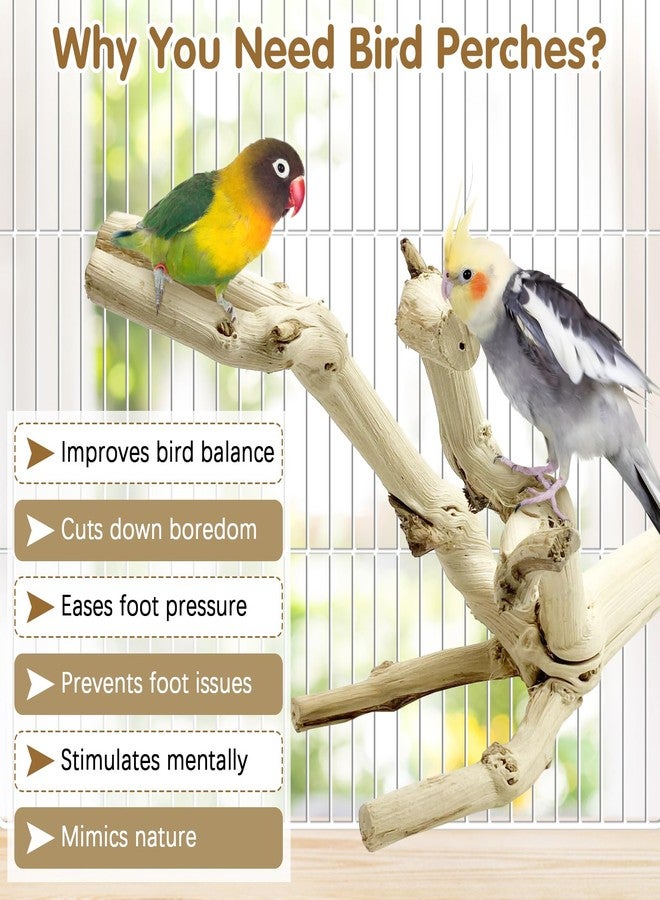 kathson Bird Perch Stand 11.8" Nature Wood Stand Toy Parrot Cage Branch Paw Grinding Fork Parakeet Platform for Parakeets Cockatiels Conures Finches Love Birds - Image 4