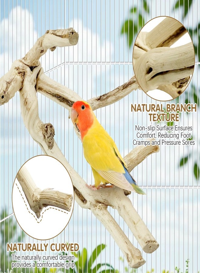 kathson Bird Perch Stand 11.8" Nature Wood Stand Toy Parrot Cage Branch Paw Grinding Fork Parakeet Platform for Parakeets Cockatiels Conures Finches Love Birds - Image 3
