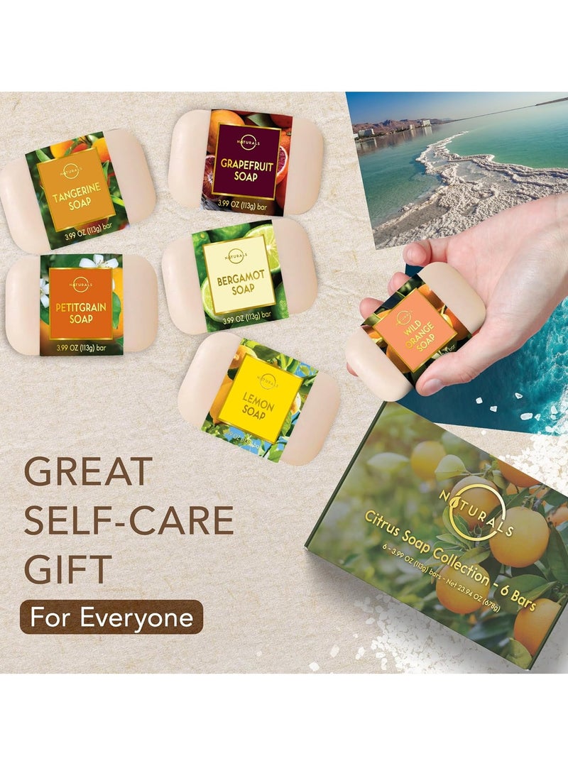 O Naturals O NATURALS 100% Natural Bar Soap - Assorted 6 PCS Soap Gift Set - Organic Ingredients & Essential Oils - Spa Gifts for Women & Men, Body Wash Soap Bar & Face Soap - Moisturizing Organic Citrus Soap  - Image 3