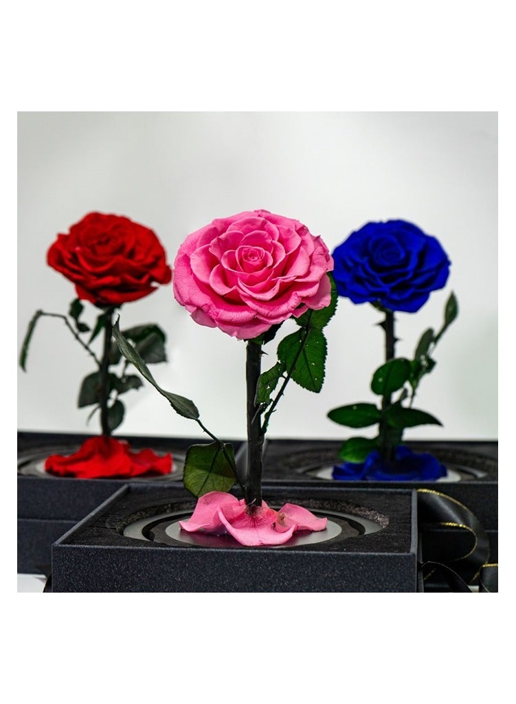   صوفيا طبيعة الوردة الأبدية المحفوظة في قبة زجاجية- هدايا - Image 1