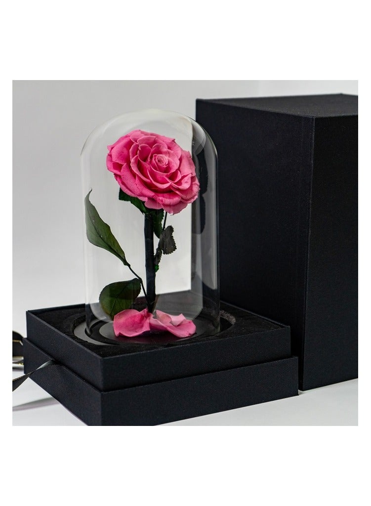   صوفيا طبيعة الوردة الأبدية المحفوظة في قبة زجاجية- هدايا - Image 4