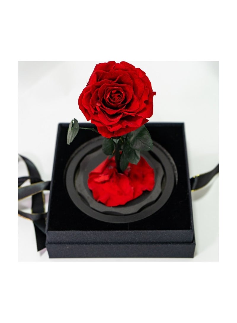   صوفيا طبيعة الوردة الأبدية المحفوظة في قبة زجاجية- هدايا - Image 3