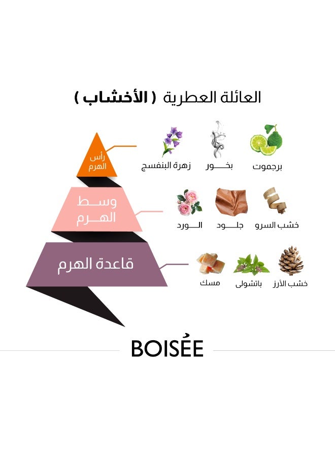  Al Majed Oud BOISEE Oil - 15ml - Image 4