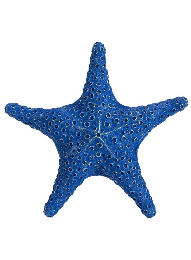 VVGIFTS Blue Ocean Beach Decoration Starfish Resin Wall Hanging Decoration (RoyalBlue) - Image 2