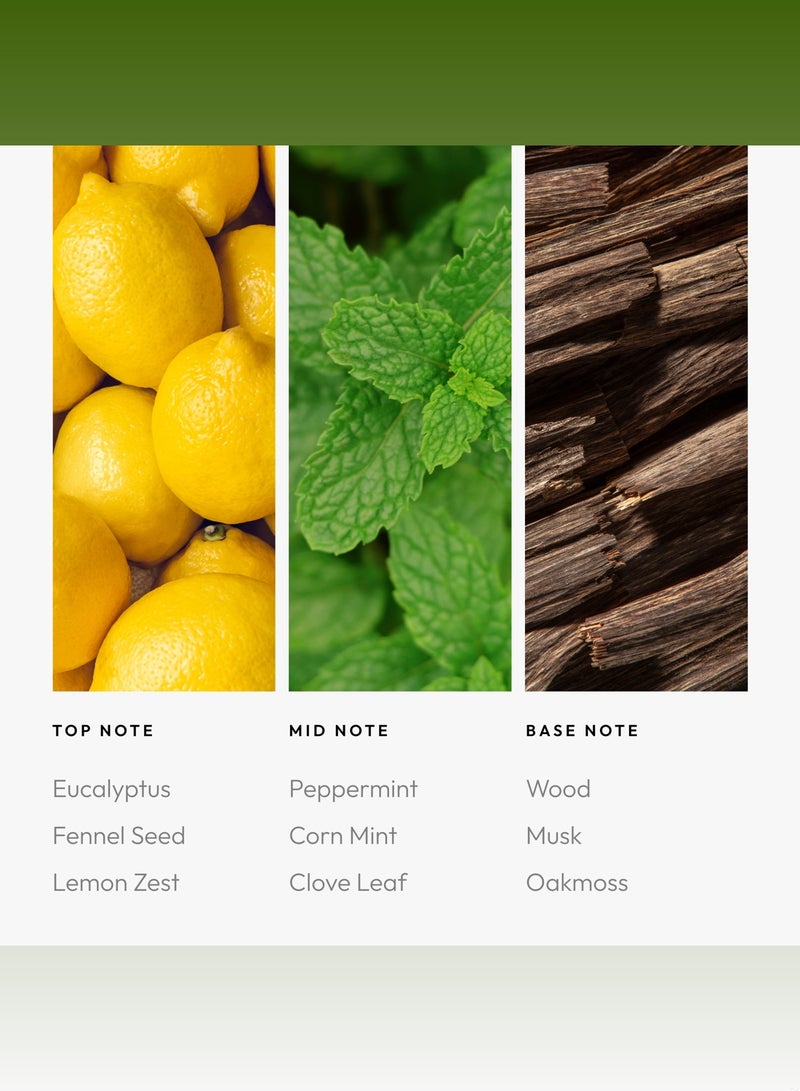 AROMA360 Break My Soul Pro-Pod Oil Blend - Hotel Inspired for Luxury Essential Oil Diffusers - Aromatherapy Scent Diffuser Oil - Fennel Seed, Corn Mint, and Oakmoss  - Image 4