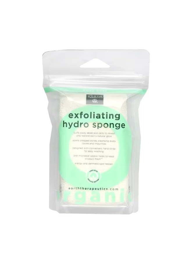 Earth Therapeutics Exfoliating Hydro Sponge Rectangular 1 Sponge  - Image 1