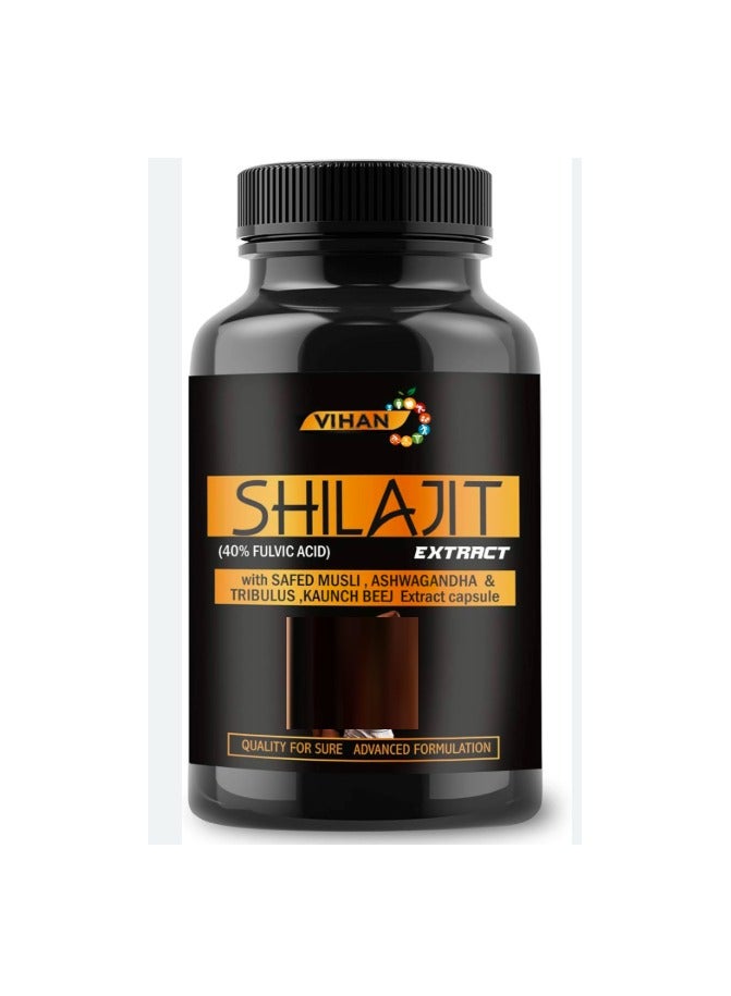 Vihan vihan shilajit - Image 1