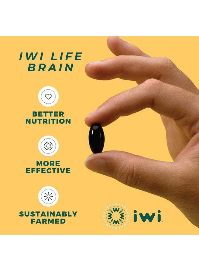 Iwi Life Brain Booster Supports Mental Sharpness & Cognitive Wellness For Focus Mood Performance & Memory Vegan Algae Omega 3 + Ps & Green Coffee Bean Extract Epa Dha & Vitamin B6 30 Day Supply - Image 4