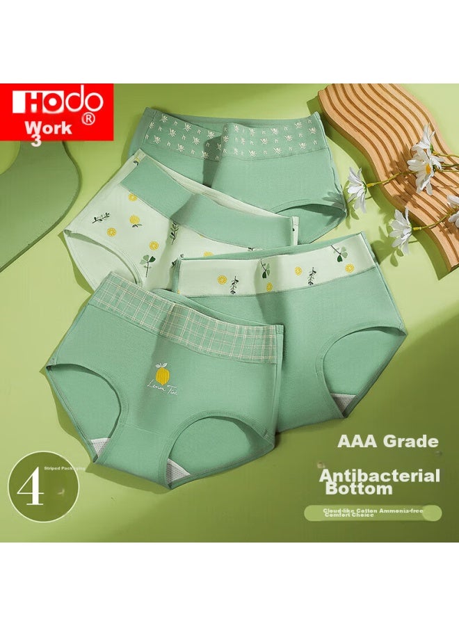 hongdou Hodo Women's Antibacterial Cotton-spandex Underwear, Elastic Breathable Triangle Panties For Girls, 4-pack Set 2, Size 175 - Image 1
