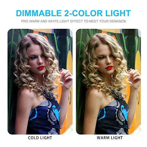 ZKEEZM Light Box Photography 20"x20" with 160LED Lights and 6 Color Backdrops Photo Box with Lights, Foldable Light Box with Adjustable Brightness, 3000-6500K Dimmable Portable Picture Box Shooting - Image 3