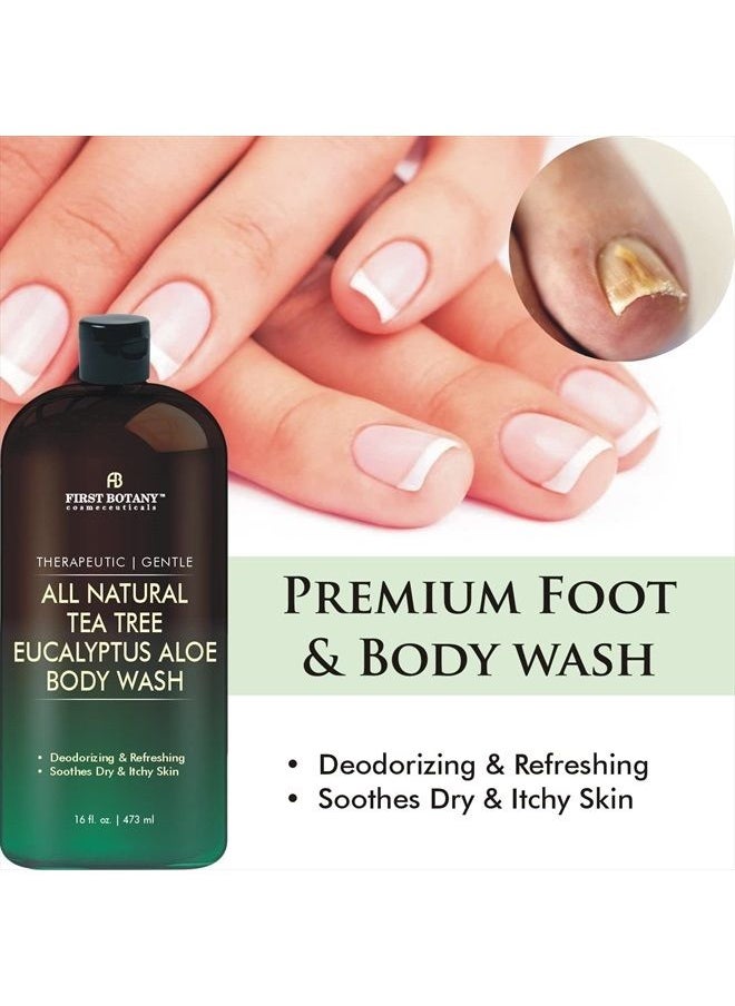 First Botany - ALL Natural Tea Tree Body Wash - Fights Body Odor, Athlete's Foot, Jock Itch, Nail Issues, Dandruff, Acne, Eczema, Shower Gel for Women & Men, Eucalyptus Aloe Skin Cleanser / body soap-16 fl oz - Image 1