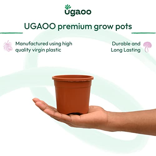 Ugaoo Garden Plastic Pots for Indoor Plants (6 inch, Brown/Terracotta Color, Set of 12) - Image 2