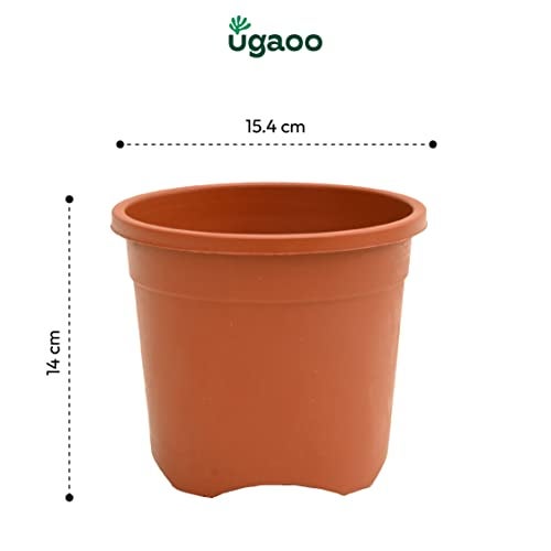Ugaoo Garden Plastic Pots for Indoor Plants (6 inch, Brown/Terracotta Color, Set of 12) - Image 4