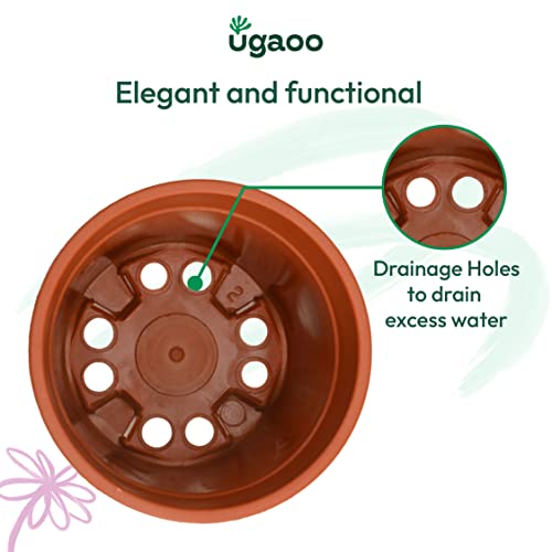 Ugaoo Garden Plastic Pots for Indoor Plants (6 inch, Brown/Terracotta Color, Set of 12) - Image 5