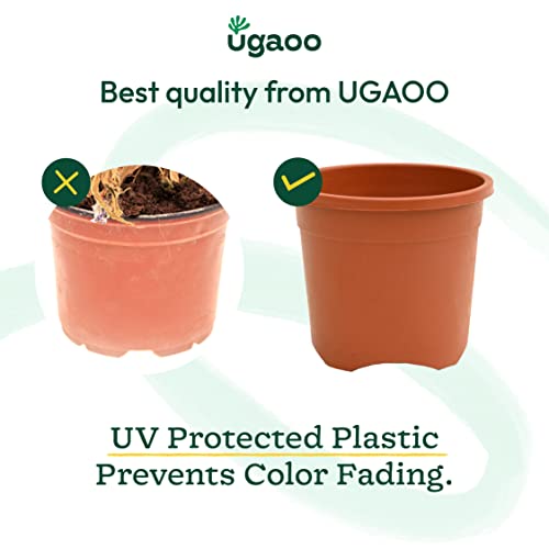 Ugaoo Garden Plastic Pots for Indoor Plants (6 inch, Brown/Terracotta Color, Set of 12) - Image 3