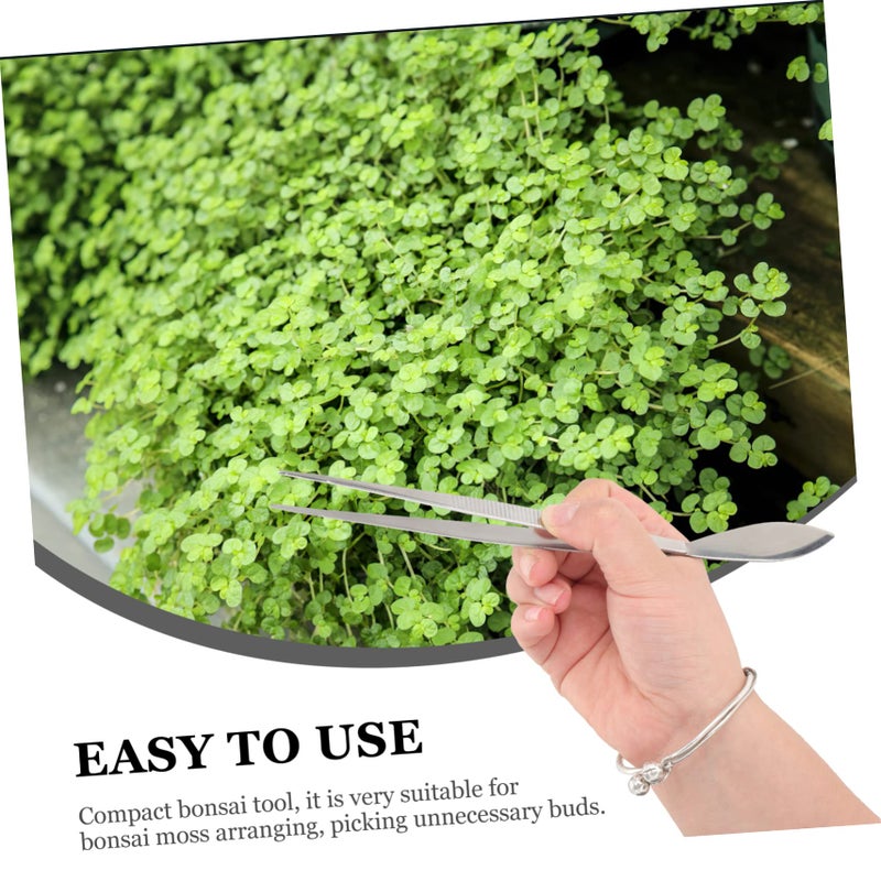 Bonsai Tweezer Tool Set of 2 Planting Scraper for Moss and Potted Plants Ergonomic Design - Image 5