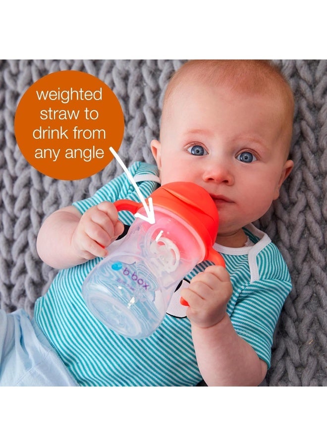 b.box Sippy Cup with Fliptop Straw, Drink from any Angle | Weighted Straw, Spill Proof, Leak Proof & Easy Grip | BPA Free, Dishwasher safe | For Babies 6m+ to Toddlers (Lemon, 8 oz) - Image 4