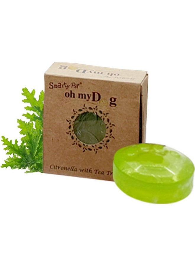 بت صابون عضوي لتفتيح فرو الكلاب مضاد للبكتيريا من Pet Needs - مع فوائد زيت السترونيلا وزيت شجرة الشاي (عبوة من قطعتين) - Image 1