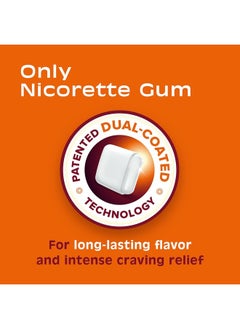 nicorette 2 mg Nicotine Gum to Quit Smoking - Fruit Chill Flavored Stop Smoking Aid, 100 Count  - Image 3