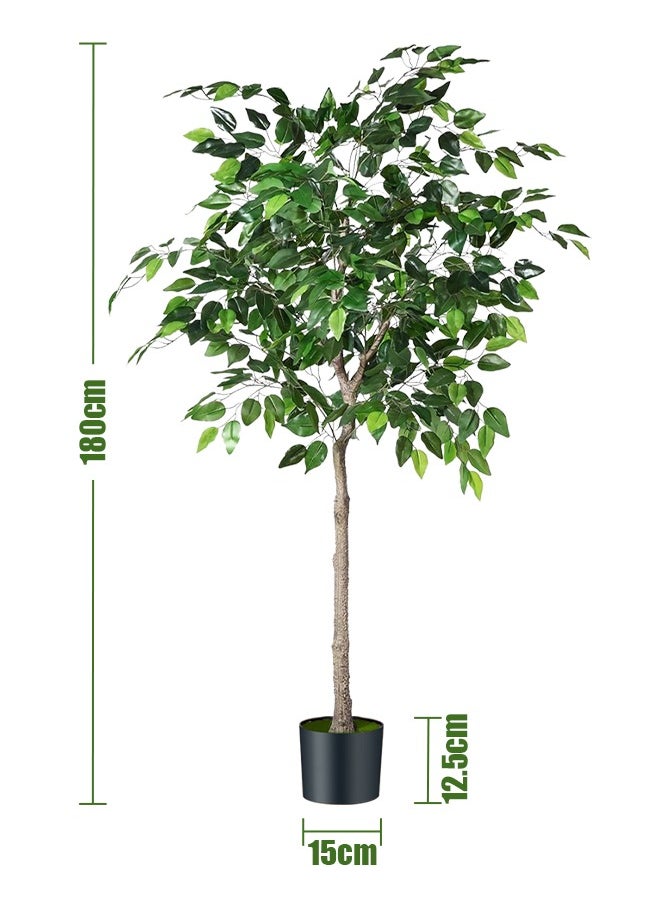 APEX Artificial Ficus Trees Eucalyptus Trees with Silk Leaves,Fake Moss and Sturdy Nursery Pot,Fake Plants for Office Home Decor 180CM  - Image 3