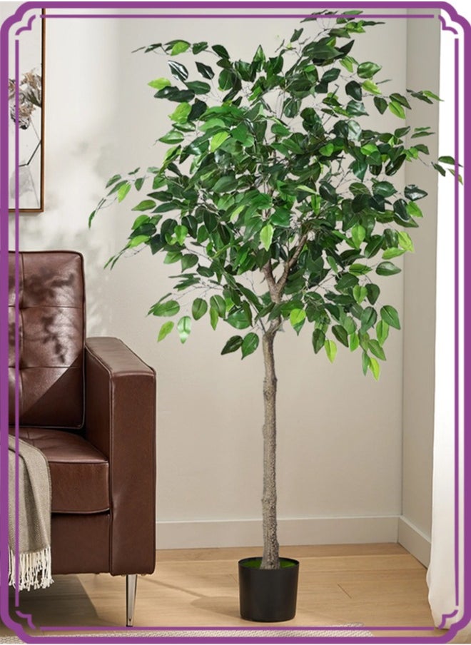 APEX Artificial Ficus Trees Eucalyptus Trees with Silk Leaves,Fake Moss and Sturdy Nursery Pot,Fake Plants for Office Home Decor 180CM  - Image 5