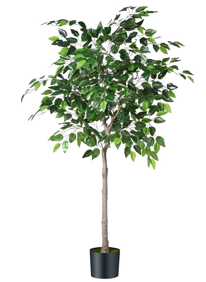 APEX Artificial Ficus Trees Eucalyptus Trees with Silk Leaves,Fake Moss and Sturdy Nursery Pot,Fake Plants for Office Home Decor 180CM  - Image 4
