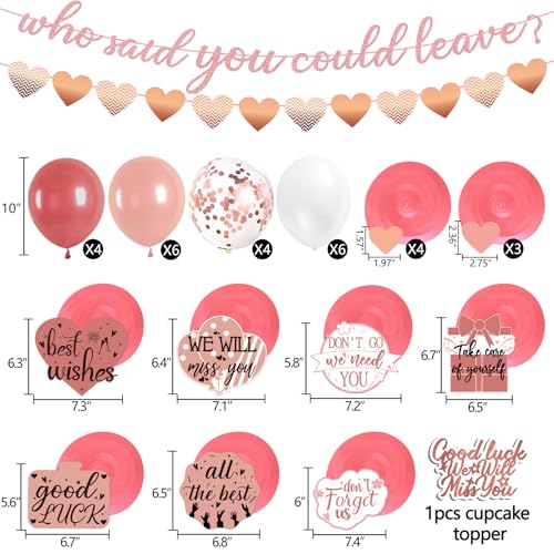 Freesdai Rose and Gold Goodbye Party Decorations for Coworker - Farewell Decor Balloons & "Who Said You Could Leave" Banner & Hanging Swirls & Cupcake Topper Going Away Supplies - Image 3