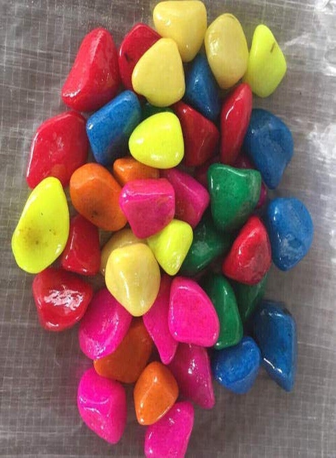 Vanni Obsession حصى فاني أوبسيشن متعدد الألوان للزينة، الحدائق، أصص النباتات، ديكور المنزل - 1 كجم - Image 3