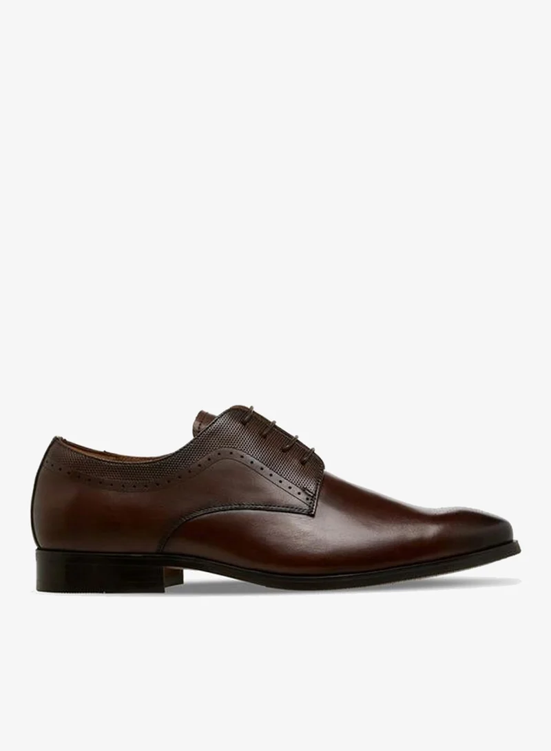 DUCHINI BROWN Men Lace-Up Leather Derby Shoes for Men | Best Price UAE